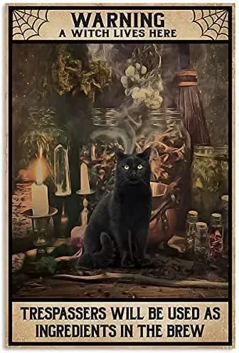 Забавный металлический знак ведьма живет здесь Черный кот Кот кот Хэллоуин призрак Фестиваль лучшие подарки для ведьм спальня жестяная фотография