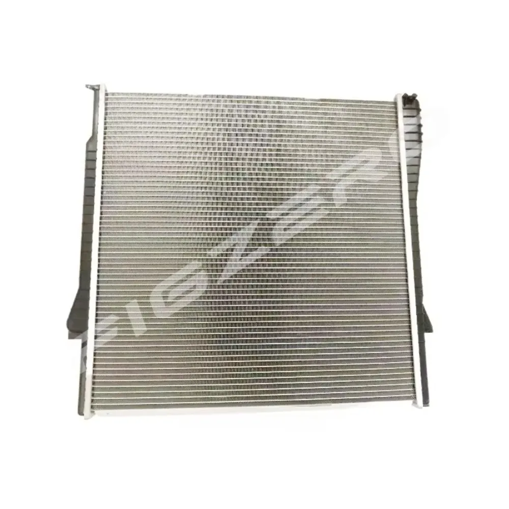 Automobile Engine Radiator Cooling Antifreeze Water Tank Mesh Network China Brand New Genuine for BMW X5 E53 E70 3.0 4.4