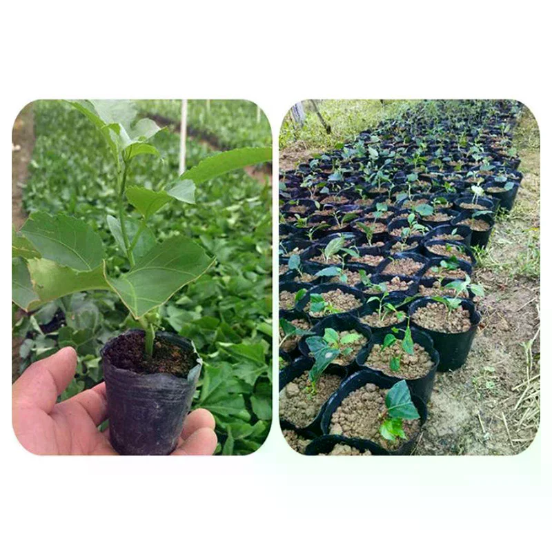 100Pcs Thickened Seedling Nursery Pots Plant Starter Cups For Household Garden Vegetable Flower Herb Planting Cultivation Bags