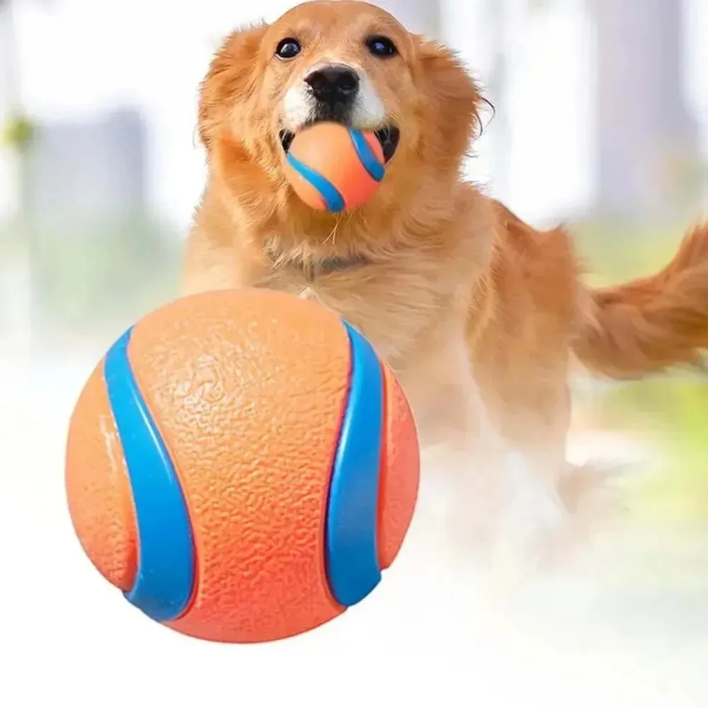 Durable Elastic Dog Toy Ball Bite Resistant Interactive Design For Dogs Chasing Playing High Bounce Pet Supplies