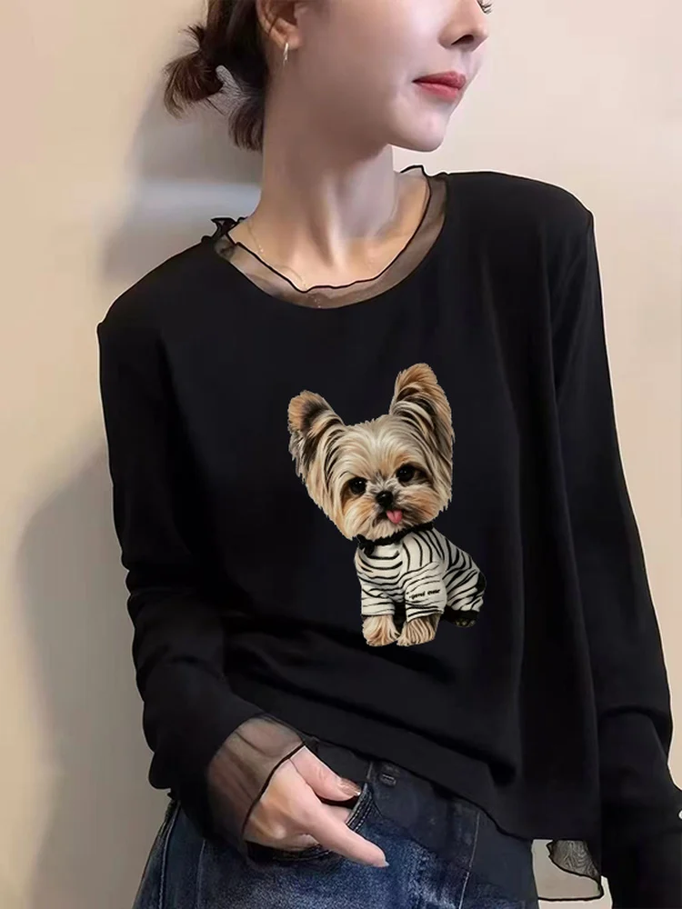 Fashionable Long Sleeve T-Shirt Women's Mesh Lace under Shirt Korean Style Autumn Winter New Style Slimming Top Commute Style