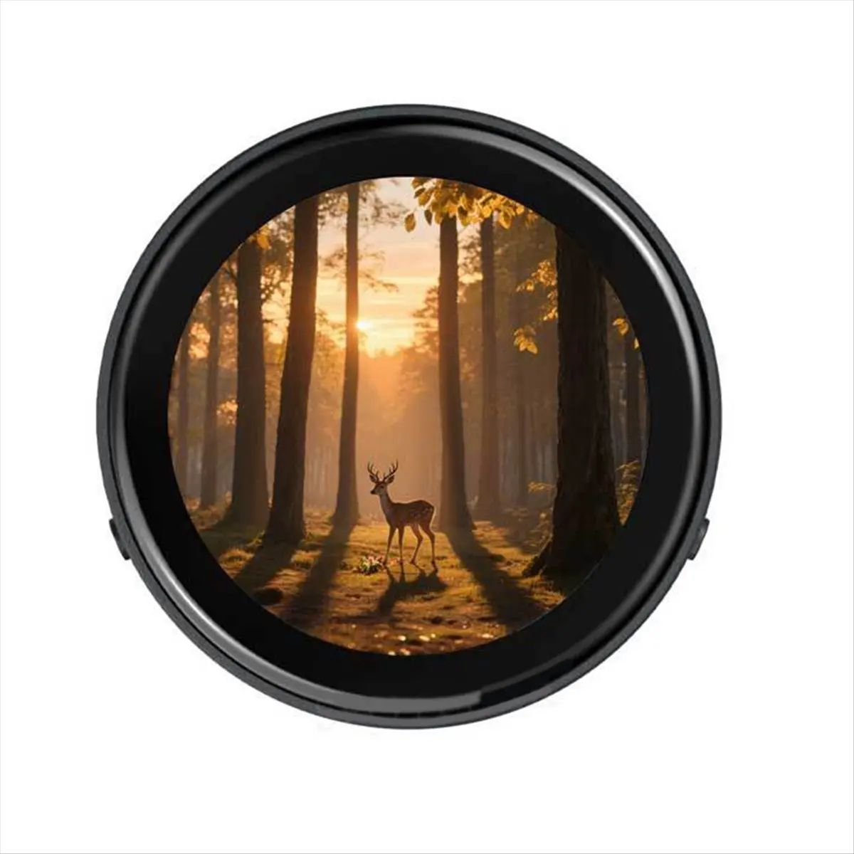A46U for XiaoZhi AI Voice Chat Robot BOX C6 Development Board 1.43inch Round LCD Touch Screen A
