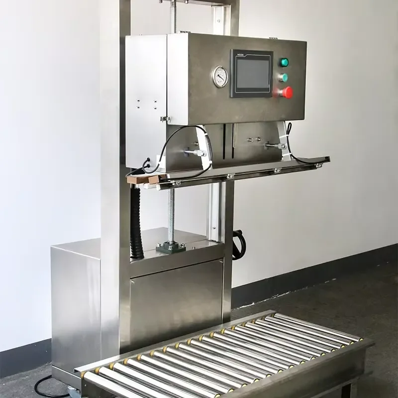 Electric Large Bag Vertical External Semi-Automatic Vacuum Sealing Machine Inflatable Air Extraction Premium Packaging for