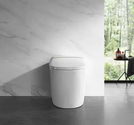 Arrow Sanitary Ware Modern Tankless Smart Toilet Price,Toilet Manufacturers,Round Toilet Sit