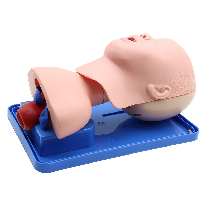 Neonatal/Infant Tracheal Intubation Model Analog Double Lung and Oral and nasal airway Tracheal Intubation Simulator Teaching