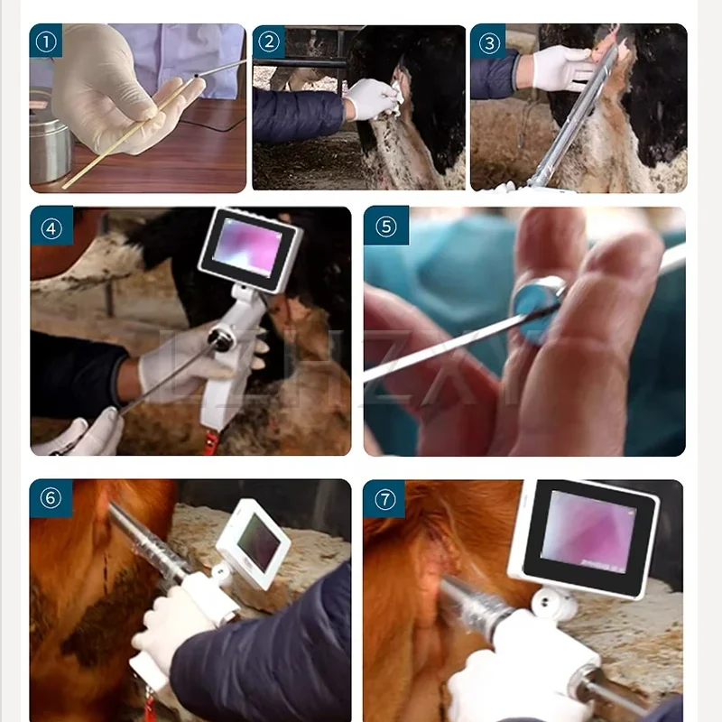 

Insemination gun, Artificial insemination endoscope, Dairy cattle reproduction, Examination tools, Artificial insemination equip