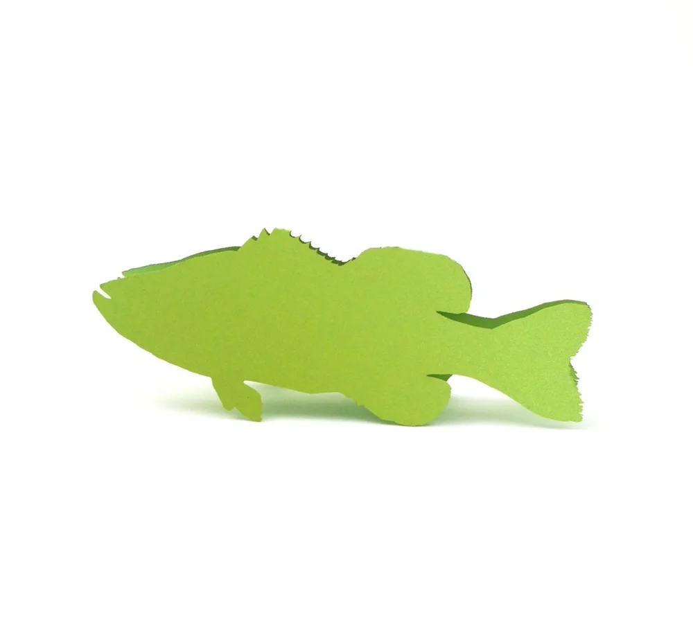 

Fish Place Cards, Bass place card, Fish Escort Card, Wedding place card, Fish Seating Card, Aquarium place card, baby shower, br