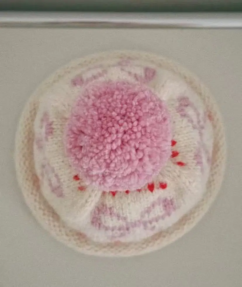 Sweet and Cute Hairball Knitted Hat for Women, Autumn Embroidered Black Fungus Edge Fisherman's Hat, Parent Child