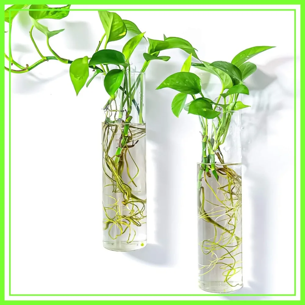 Hanging Glass Tubes Planter for Hydroponic Plants, Wall-Mounted Propagation Station - 2 Cylinder Vases for Indoor Decor