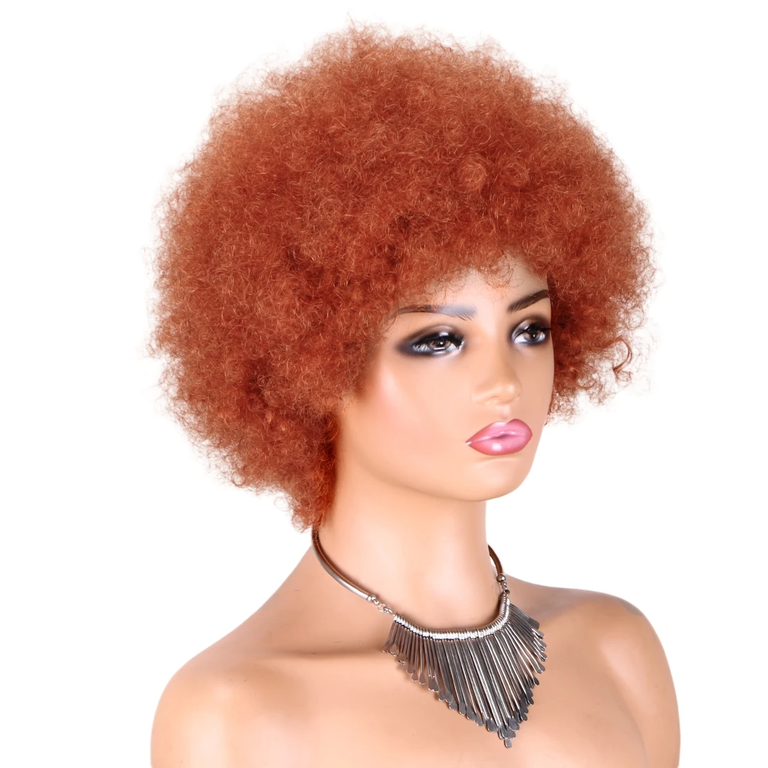 200 Density Brazilian Colored Human Hair Wig Full Lace Machine Made Afro Kinky Curly Wig Cosplay Daily Use Natural Looking