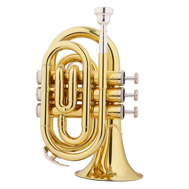 Bach Mini Pocket Trumpet Bb Flat Brass Wind Instrument with Mouthpiece Gloves Cleaning Cloth Carrying Case