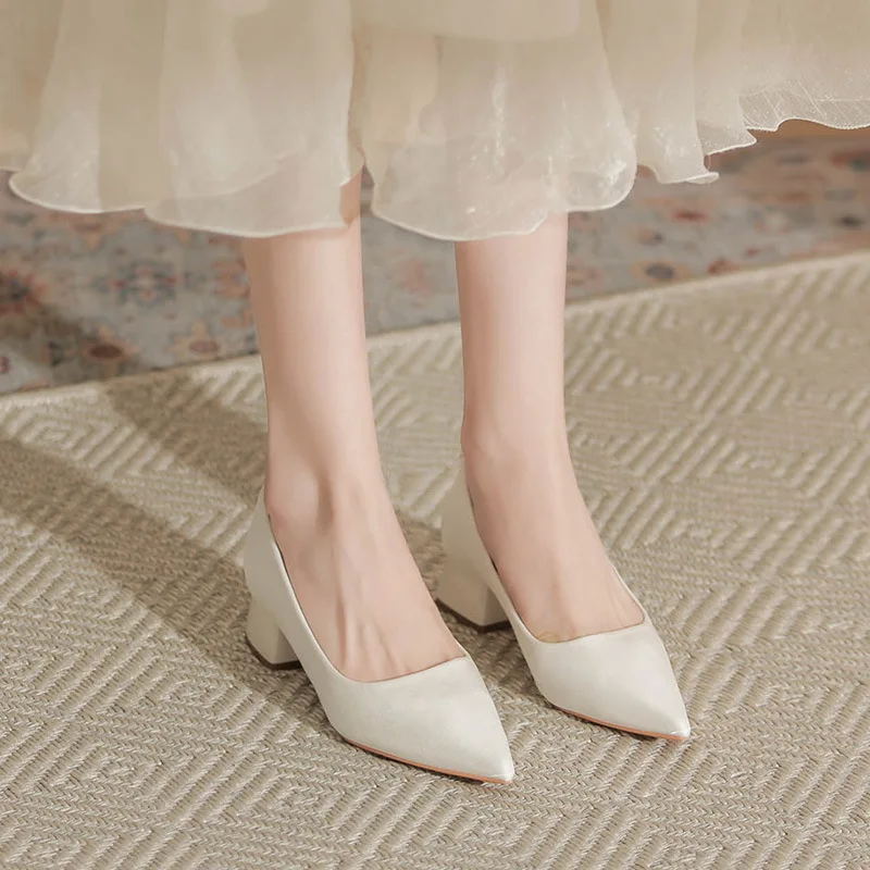 High Heels for Women 2025 New Pointed Toe Shallow Mouth Thick Heel Shoes Fashion Lady OL Office Party Shoes Sapatos Mujer 33-42
