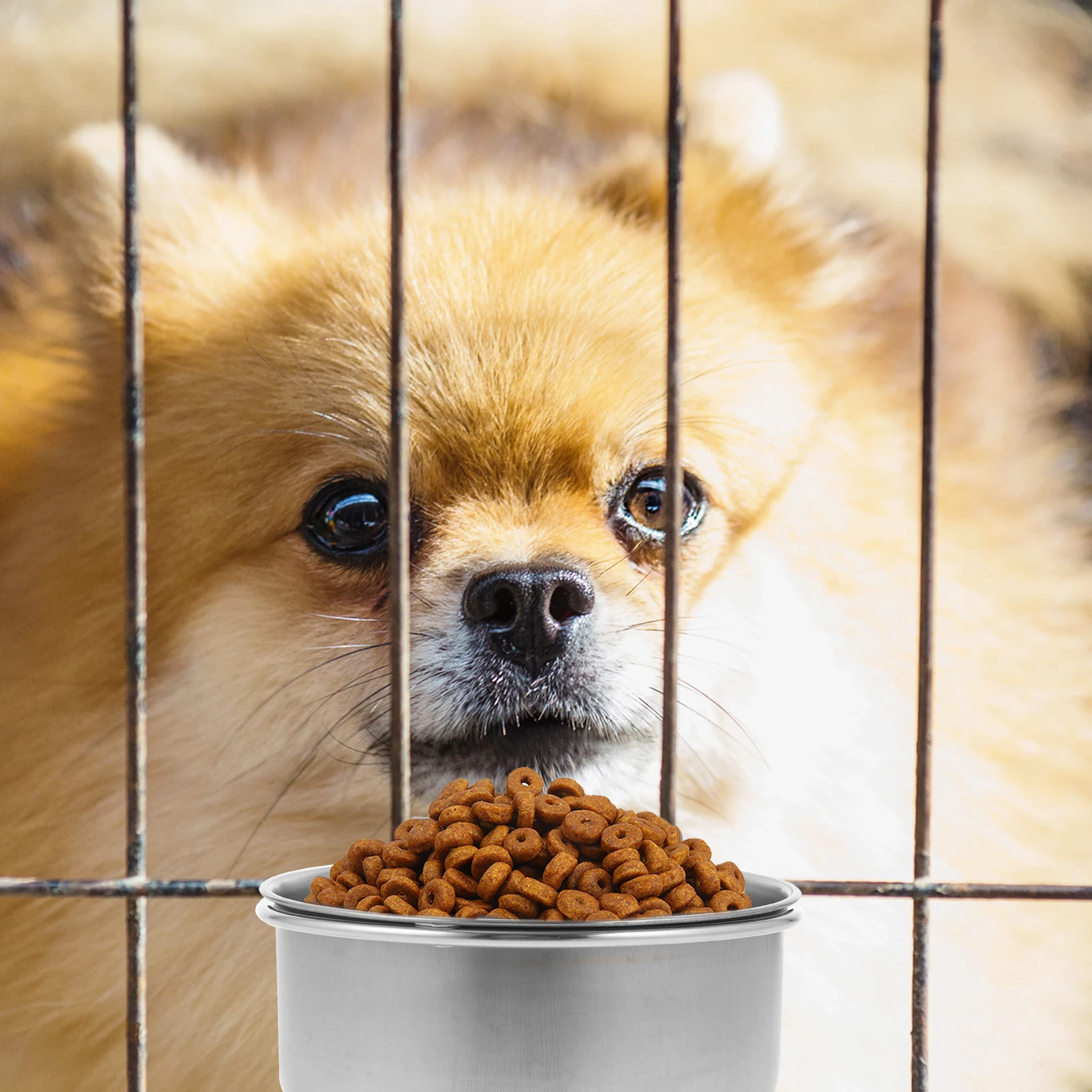 

Stainless Steel Pet Food Water Bowl Hanging Cage Coop Cup Durable Easy Installation Resists Rust Safe Bird Parrot Feeding Dish