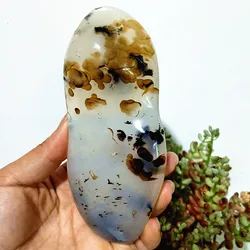 Natural Stone Waterplant Plant Agate Palm Stone Witchcraft Meditation Spiritual Yoga Cure Home Feng Shui Crystal Ornament