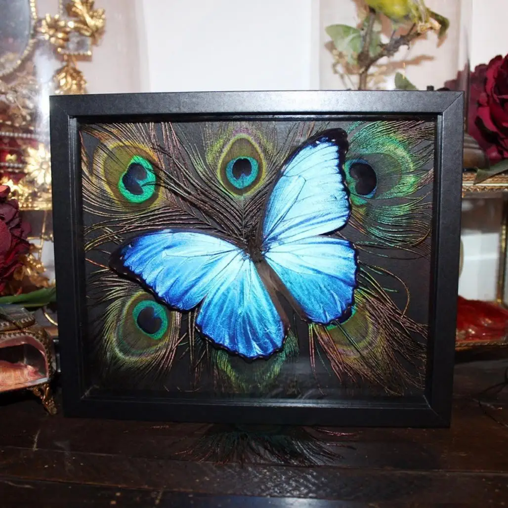 Realistic Butterfly Specimen Peacock Feather Specimen Photo Frame Ornament Creative Birthday Gift Home Decoration Accessories