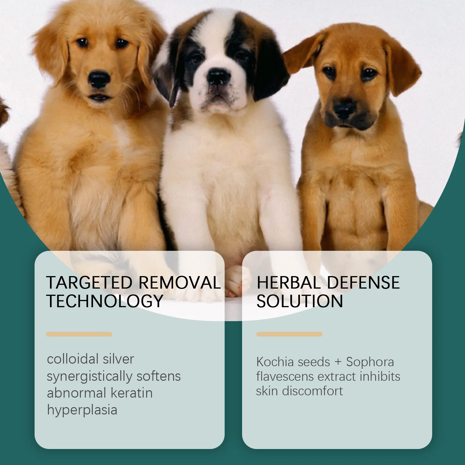 Thumbnail 3 - #8 Top 40 Pet Flea & Tick Control Worth Buying In 2026