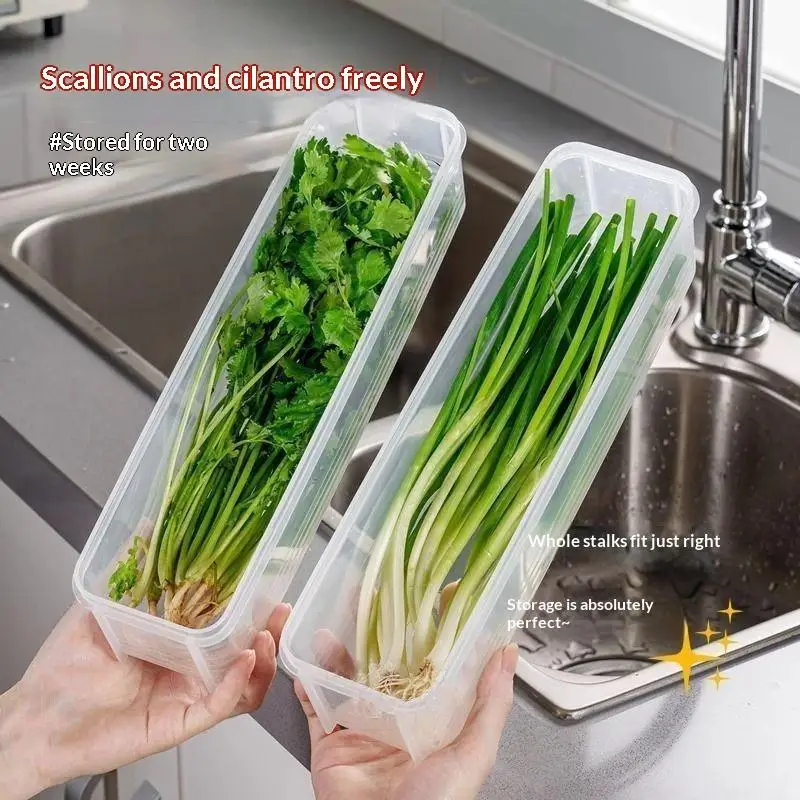 Clear Long Herb Storage Containers With Lids Keep Herbs Fresh For Weeks For Kitchen Fridge Cilantro Scallion Storage