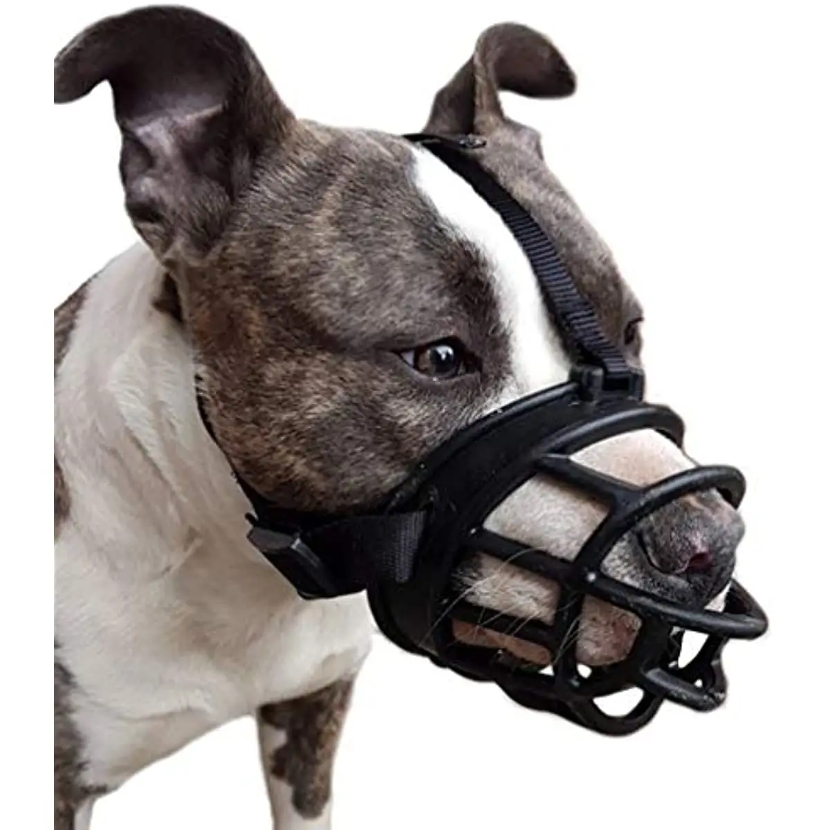 New Comfy Silicone Pet Dog Muzzle Breathable Basket Muzzles Stop Biting Barking Chewing for Small Medium Large and X-Large Dogs