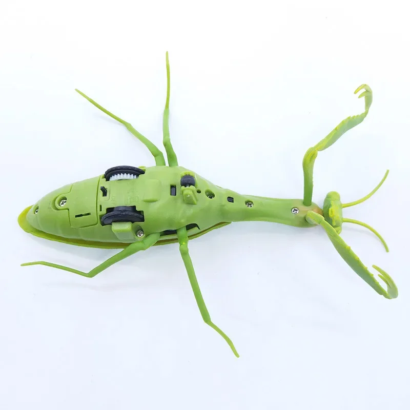 NEW Infrared Remote Control Cockroach Simulation Animal Creepy Spider Bug Prank Fun RC Kids Toy Gift High Quality Drop Shipping