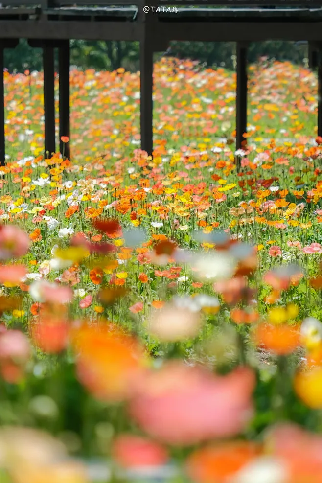 

4PCSBeadlock Wheel Rims Aluminum Alloy for 1:10 RC Crawler SCX10 90046 SCX10 III AXI03007 CC01 D90 D110 1.9 Crawler Tires