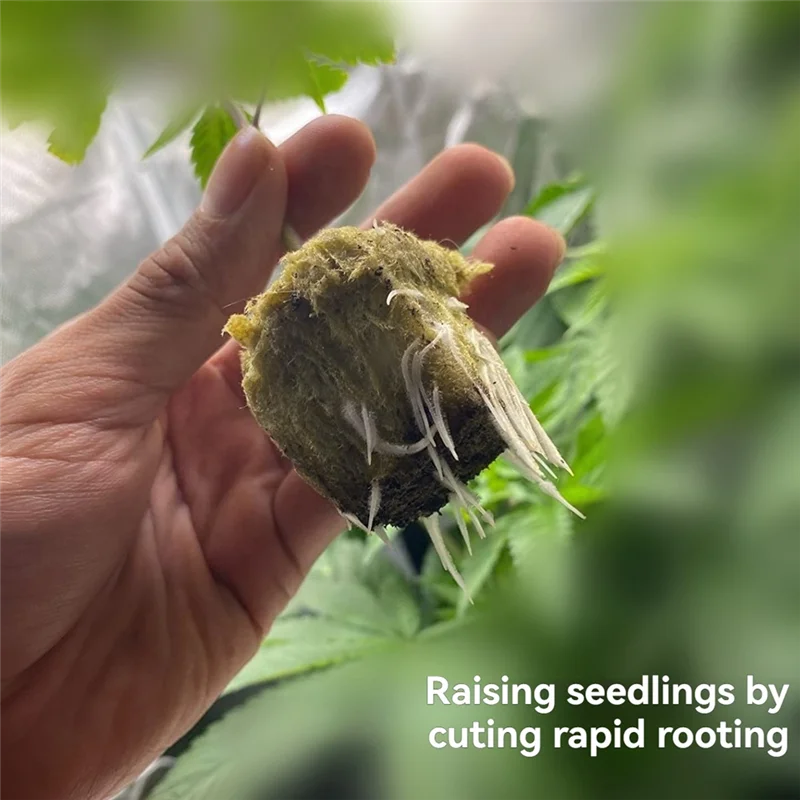 ABGG-plantado hidropónico, bloque mediano para plantas, matriz sin suelo, bandeja de enchufe de lana de roca, cultivo de bloques de plántulas