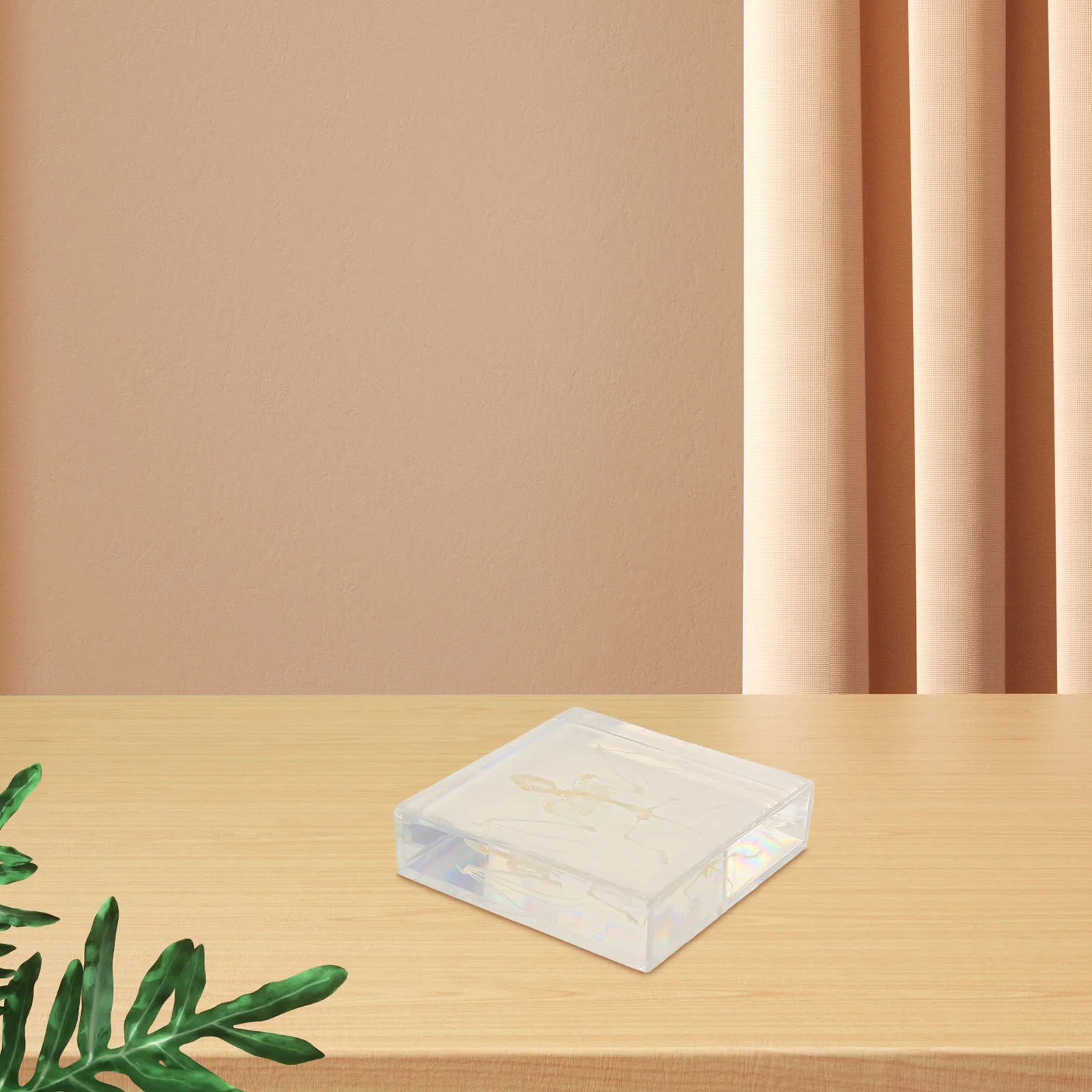 コウモリの展示：科学教室の装飾、教育、研究、家の装飾用に手作りされた本物の動物標本 ミニ