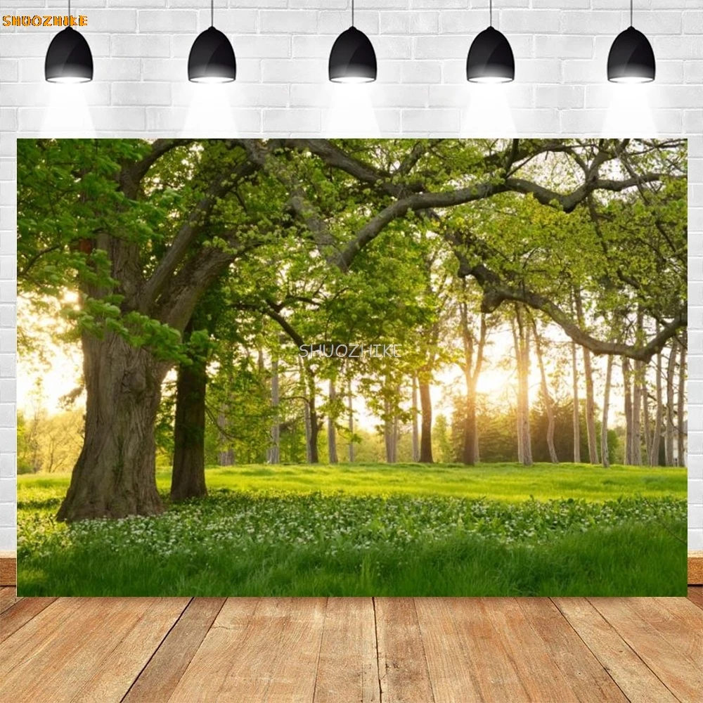Spring Forest Flowers Blossom Tree Backdrop Sunshine Floral Natural Landscape Baby Portrait Photography Background Photo Studio