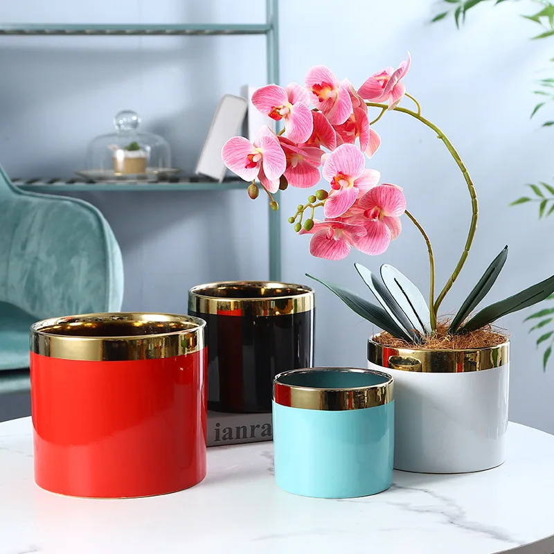 Simple and Light Luxury Ceramic Flowerpot Electroplated Gold Rim Home Creative High-end Butterfly Orchid and Tiger Orchid