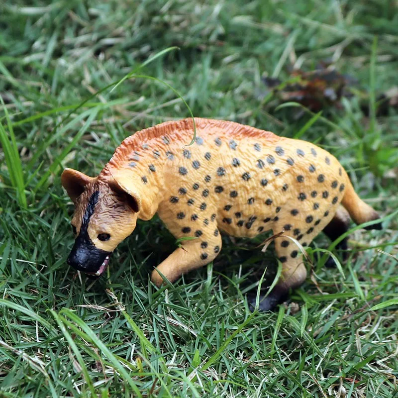 Oenux Klassische Wilde Afrikanische Tiere Simulation Tiger Hyaenidae Action Figur Figuren PVC Modell Bildung Schule Kind Spielzeug – Detail 18