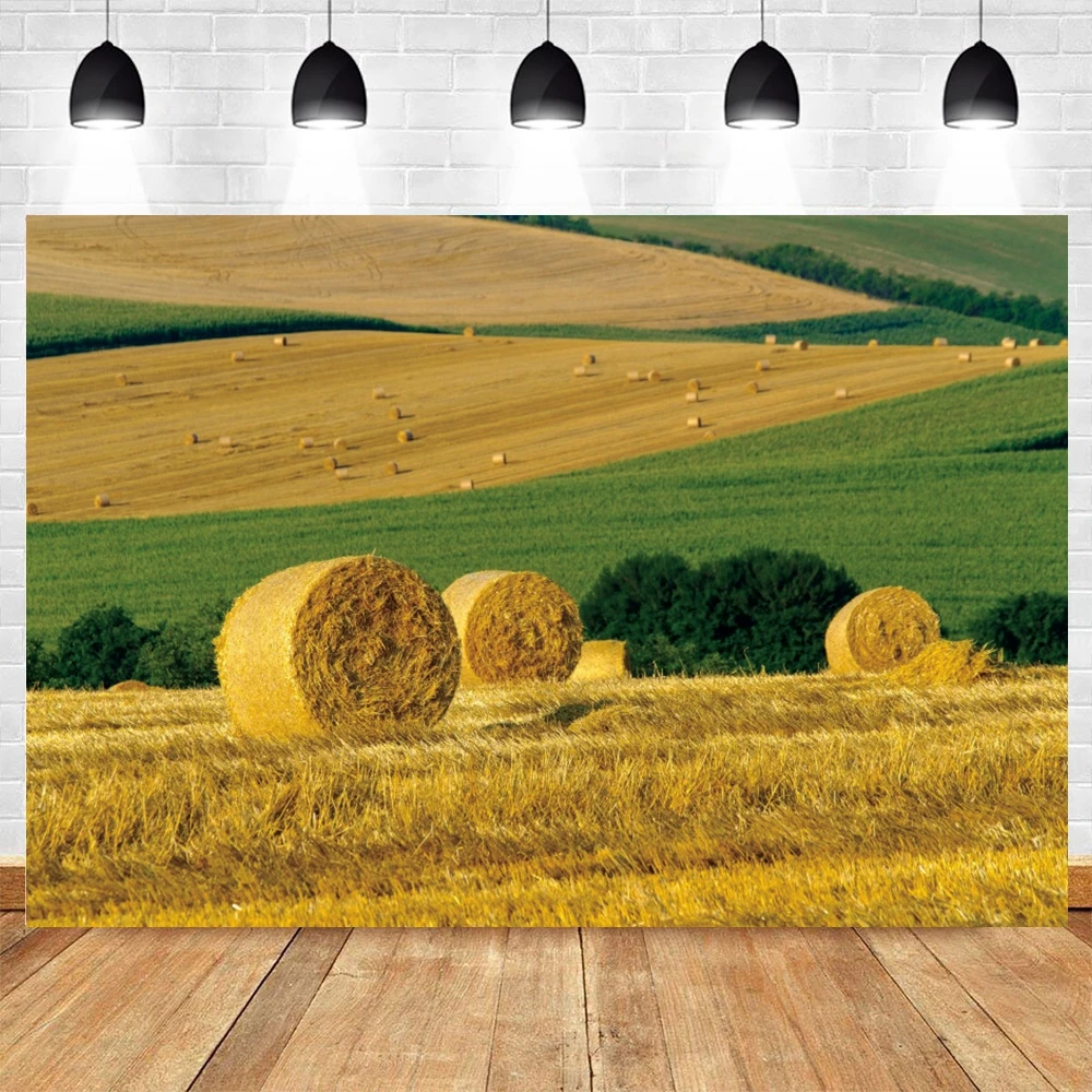 

Autumn Paddy Photography Backdrop Hay Bales Baby Portrait Photocall Decor Photographic Background Photo Studio Photozone Props