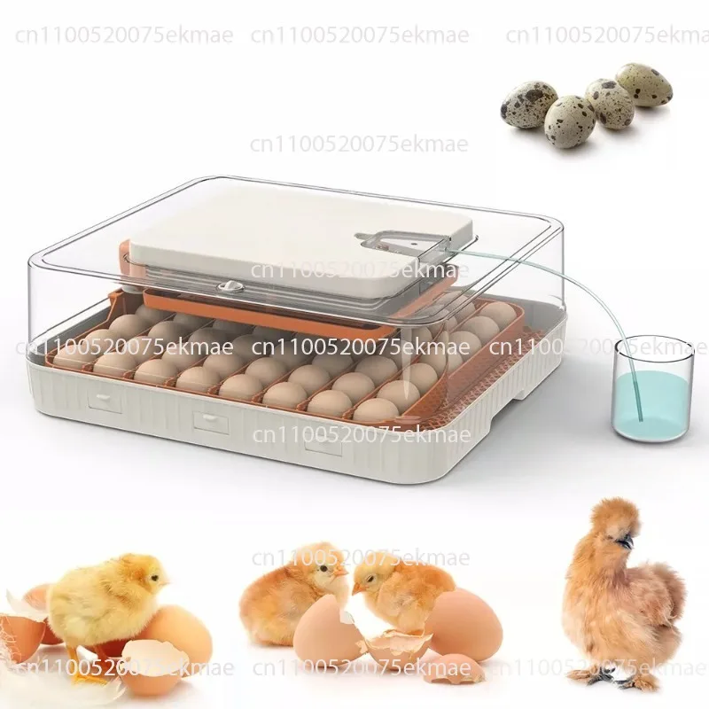Incubator: Compact Domestic Incubator – Smart, Fully Automatic Incubator for Bird, Chicken and Duck Eggs