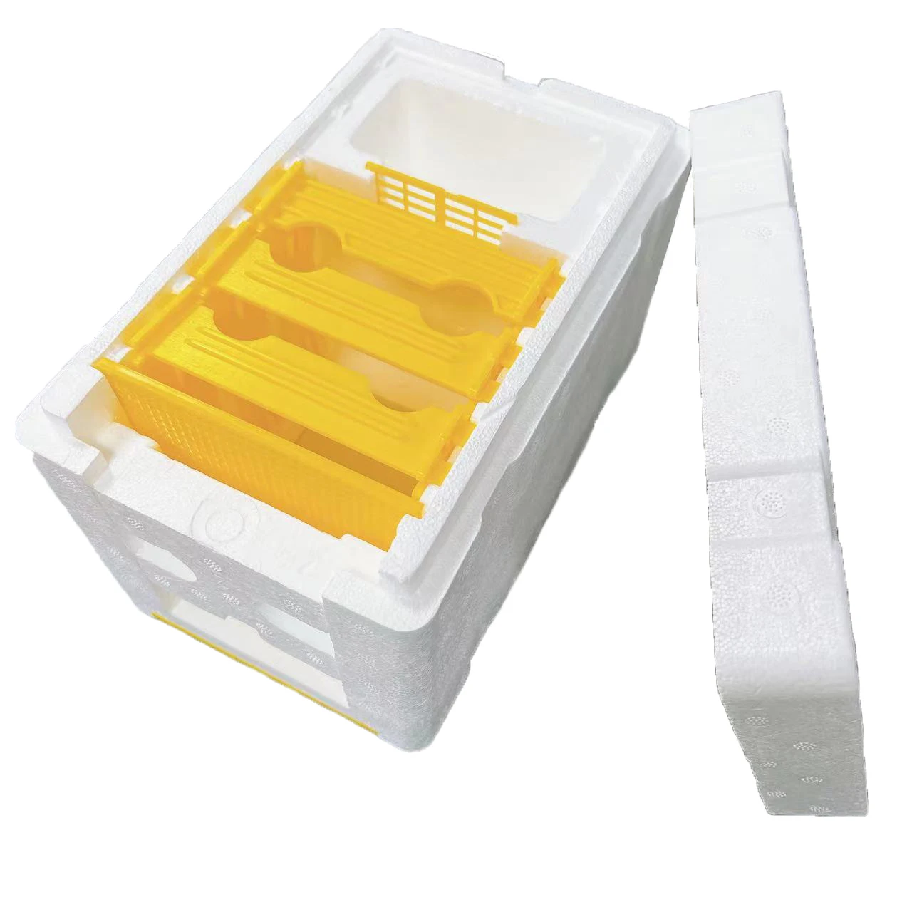 Chinabees Beehive Beekeeping Box Foam Bee Breeding Box Queen King Bee Hives Boxes Pollination Bee House Beekeeping Equipment