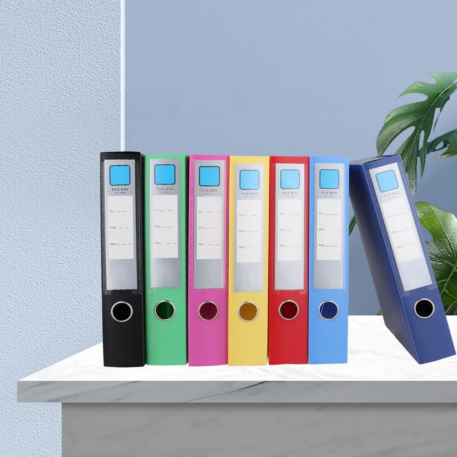 Pack of 14 A4 Document Box, Colourful, 5.5 cm Wide, A4 File Folders, Plastic, Colourful Archive Box, Collection Boxes for Office