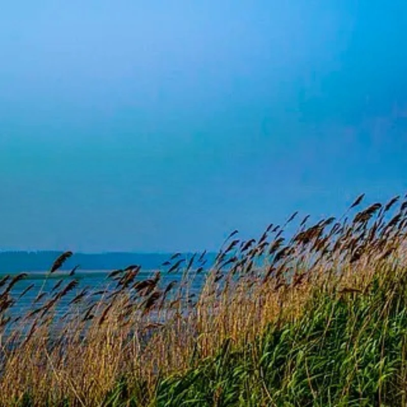 

High Quality JX Servo CLS6322HV 21KG Torque 180 Degree High Voltage Metal Gear Coreless Digital Servo for RC Helicopter RC Car