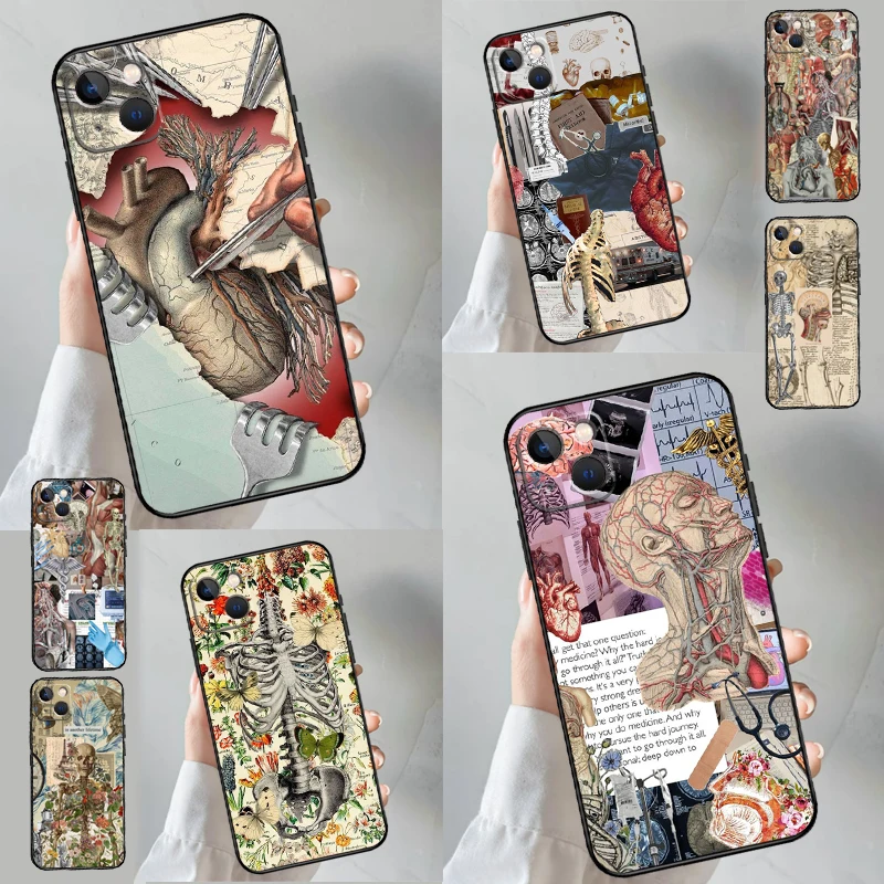 Human Organs Brain … - image