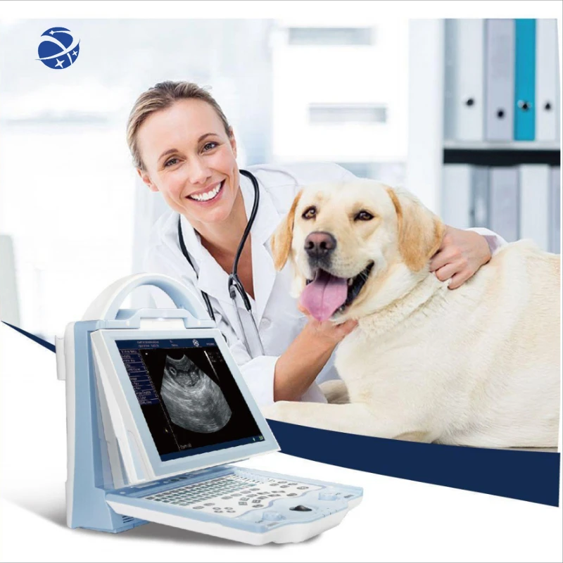 

full digital cheapest laptop veterinary ultrasound