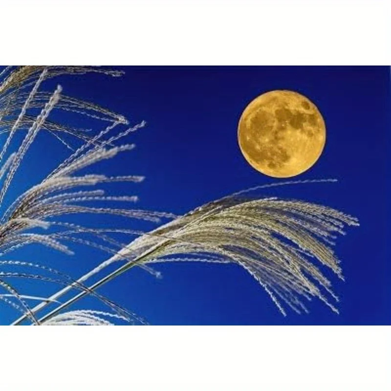 Elegant Blue Moon Tapestry Wall Hanging Home Decor Pampas Grass Floral Moon Night Sky Aesthetic Polyester Fabric Art Print Decor
