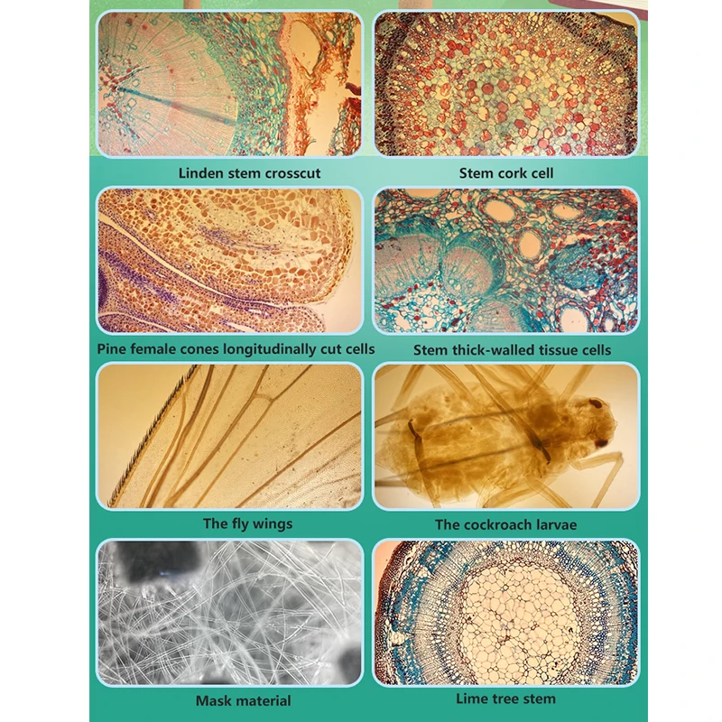 عدسة ماكرو عالمية 400x مجهر بصري عدسة طبية للهواتف الذكية مع ضوء LED للهاتف #4