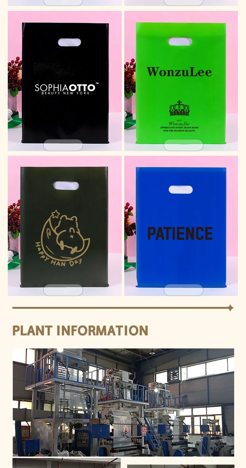 50 Stück Damen-Boutique-Einkaufstaschen Einzelhandelsverpackungstaschen für Kleinunternehmen Markenverpackung Anpassbar mit Logo – Detail 5
