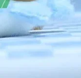 1 قطعة ألعاب حيوانات البحر محشوة الحيوان الأسماك حقيبة قلادة 12 سنتيمتر الكرتون سوبر لينة ختم الحوت دولفين أفخم المفاتيح هدايا أعياد ميلاد للأطفال