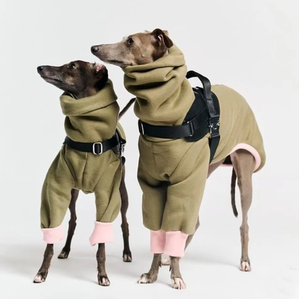 Mono forro polar 2 patas verde invierno para Galgo Italiano y Whippet