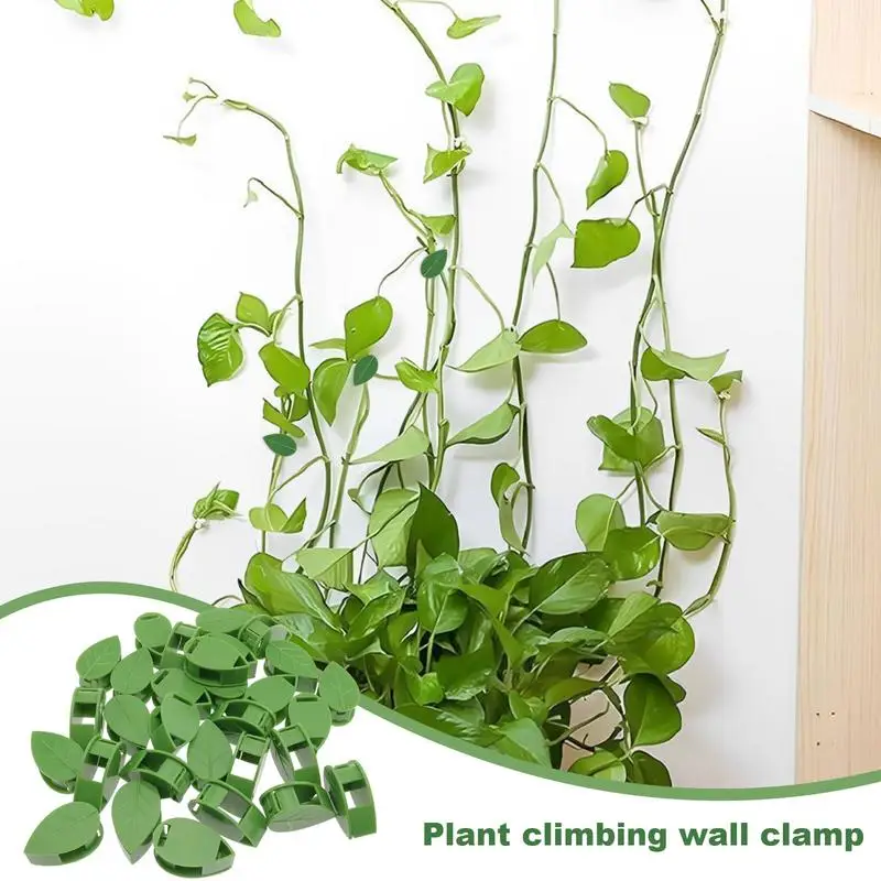 Vine Support Clips Invisible Climbing Plants Fixture Clips For Wall 100X Portable Cute Vine Holders Space Saving Plant Clips For