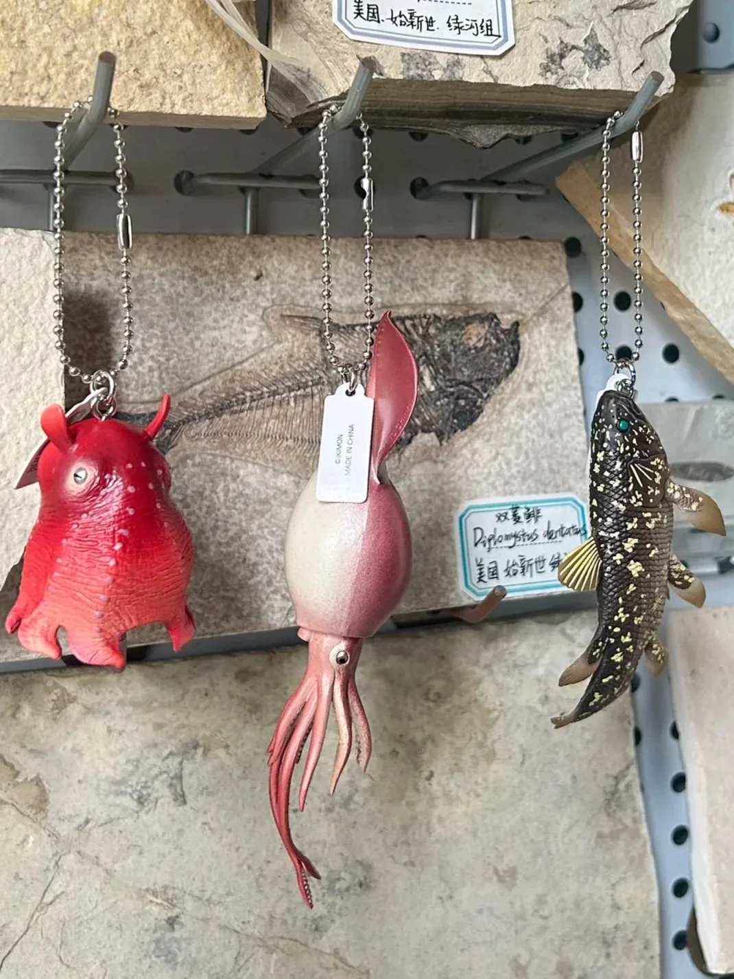 Ikimon Capsule Toys Lindas criaturas del mar profundo Imán y cadena de bolas 2 Figuras de isópodo gigante de coelacanto de calamar colosal