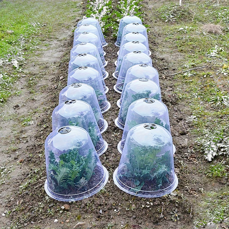 10pcs Reusable Plastic Plant Protective Moisture Dome - Insect, Bird Season Resistant, Transparent Garden Cover for Vegetables
