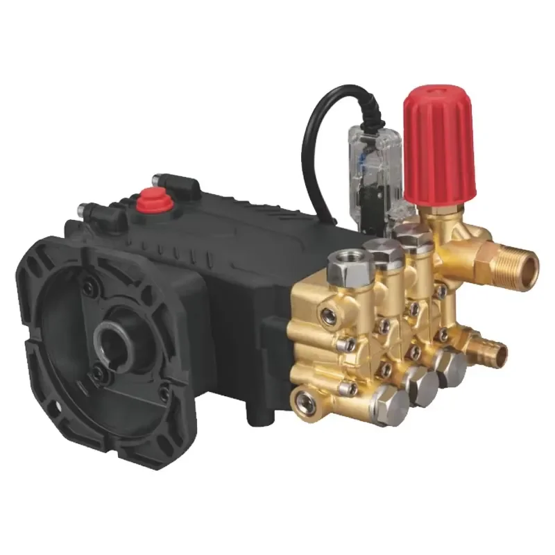 5.5KW 30L Min High Pressure Electric Water Pump 2900PSI 200Bar 220V Three Cylinder Plunger Jet for Car Wash Cleaning