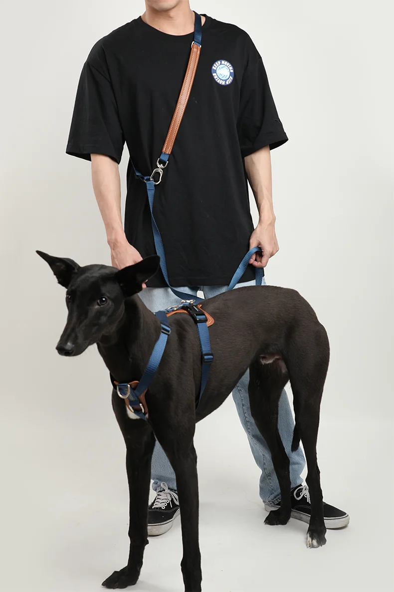 Dog Explosion-proof Impact Harnesses Suspenders Set Comfortable I-font Structure Vest Anti-Break Adjustable Safety Leash