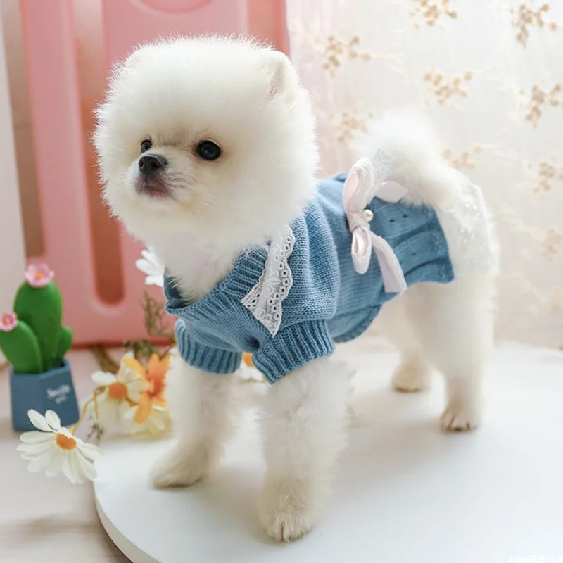 1PC Pet Clothing Dog Cat Autumn/Winter Blue Lady Knitted Skirt Suitable for Small and Medium sized Dogs