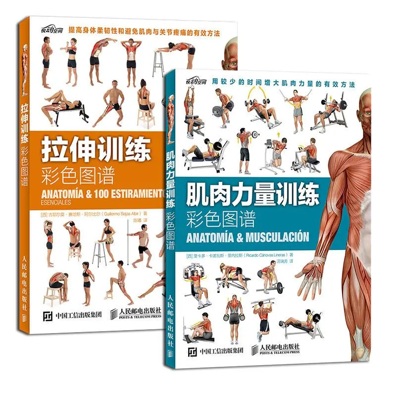 1 book Stretching & Strength Training Anatomy Colored Book Fitness Exercise Guide Book for Bodybuilding