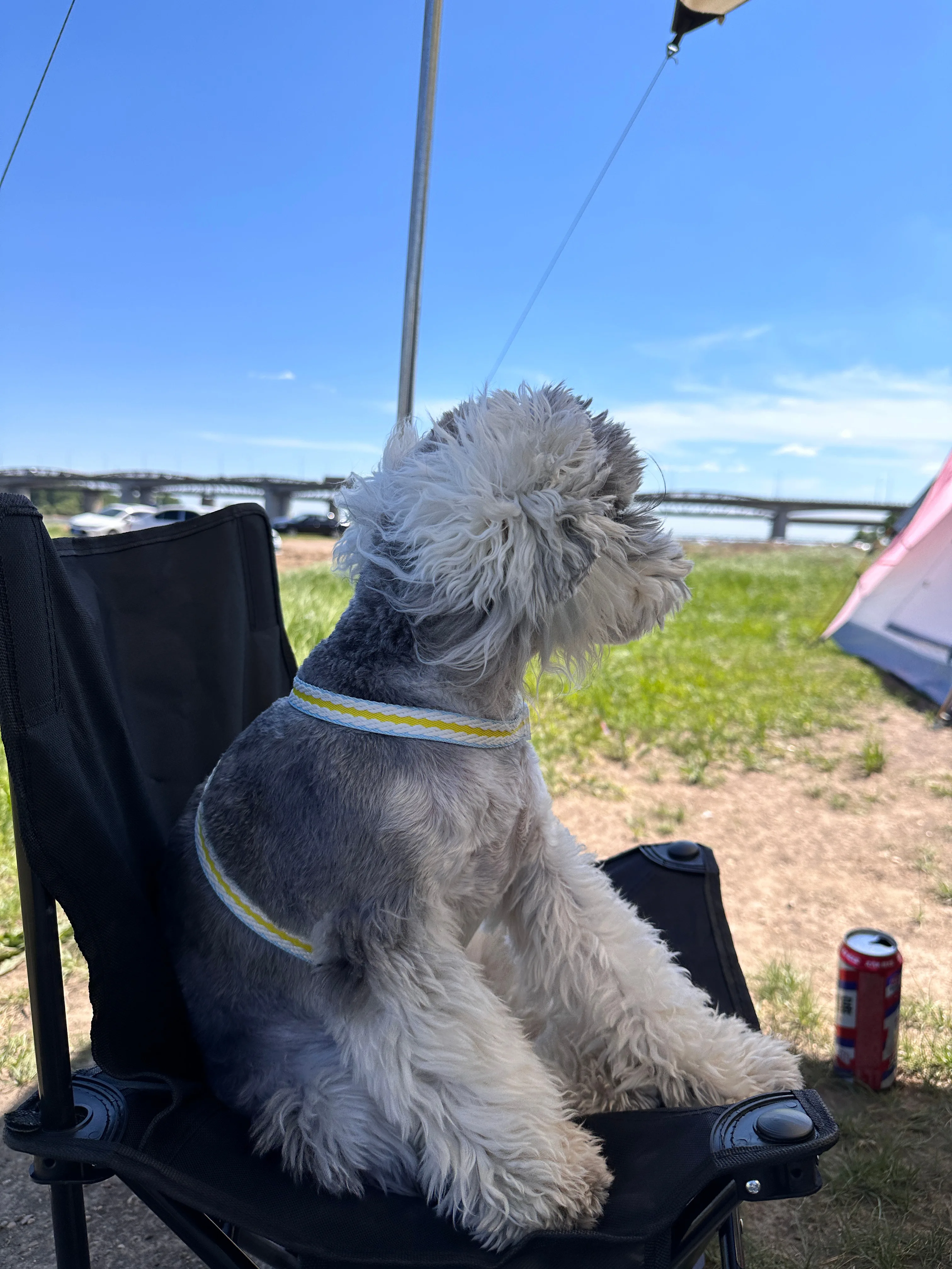 

Комплект колес и шин для радиоуправляемых краулеров 2,2 дюйма, для грузовиков масштаба 1/8, металлические диски с бедлоками и внедорожными шинами (4 шт.)