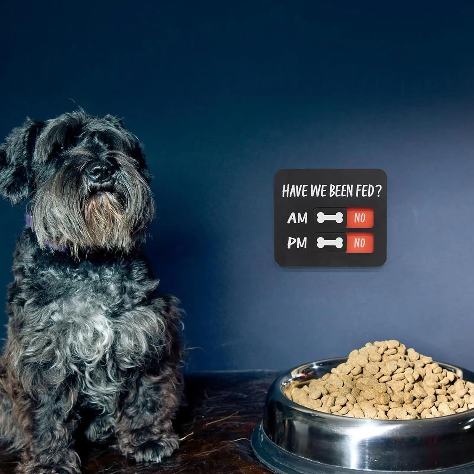 Cat and Dog Feeding Reminder Tags Pet Feeding Reminder Signs Magnetic Refrigerator Magnets Cat Feed Indication Charts